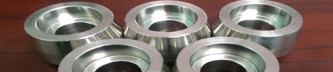 Stainless Steel 304 Flanges