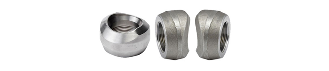 Stainless Steel 304 Flanges